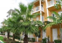 1332 Sw 3rd Ct Unit 1332 Fort Lauderdale, Fl. 33312 | F10389733 1332 Sw 3rd Ct Unit 1332 Fort Lauderdale, Fl. 33312 | F10389733